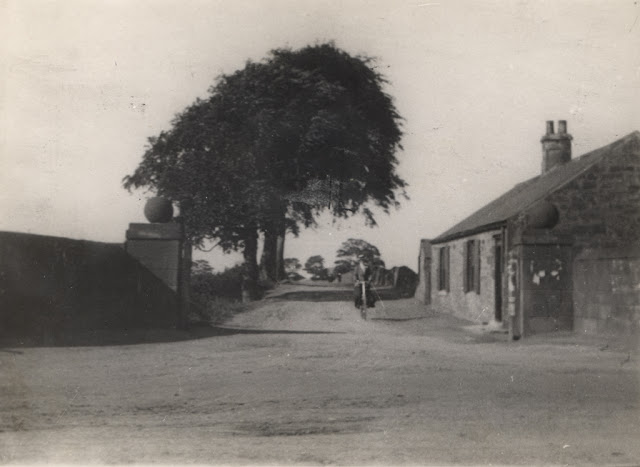 Two Ball Lonnen 1905 B.jpg