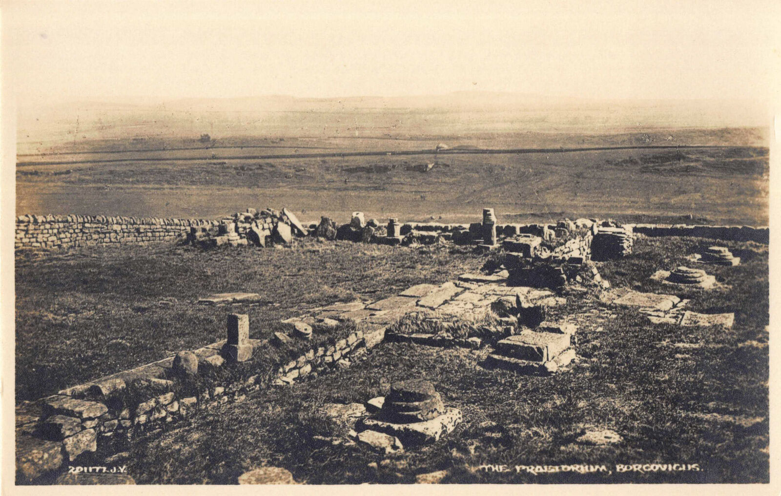 Borcovicus.jpg