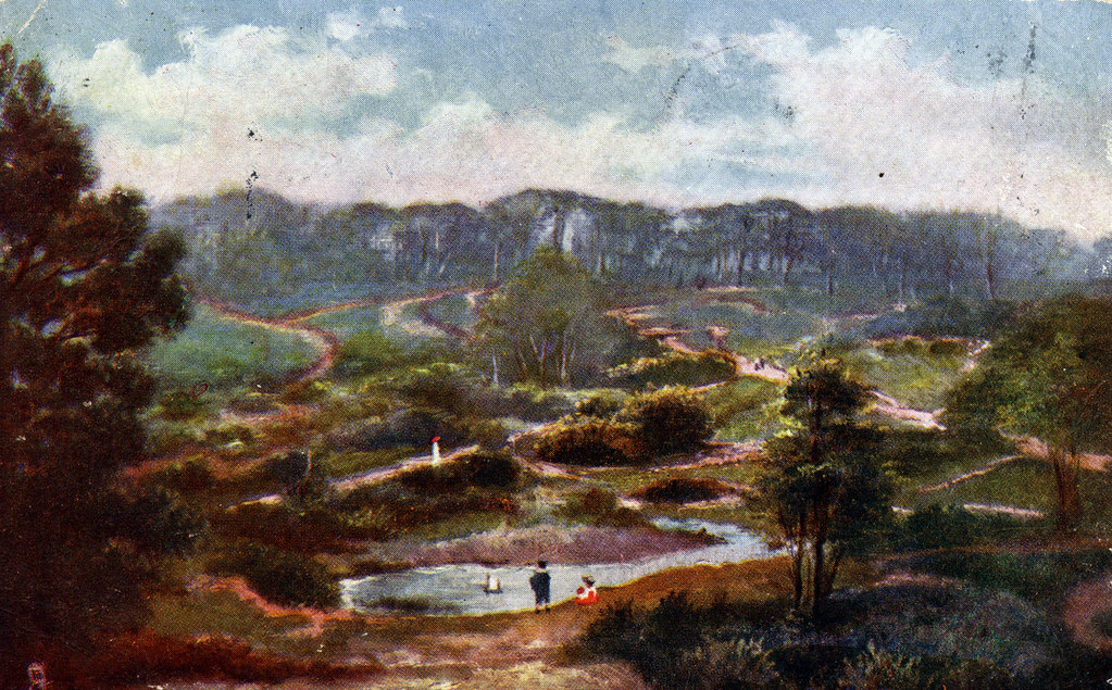 hampstead heath.jpg