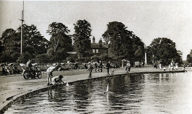 Highgate Pond.jpg