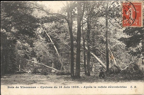 bois de vincennes