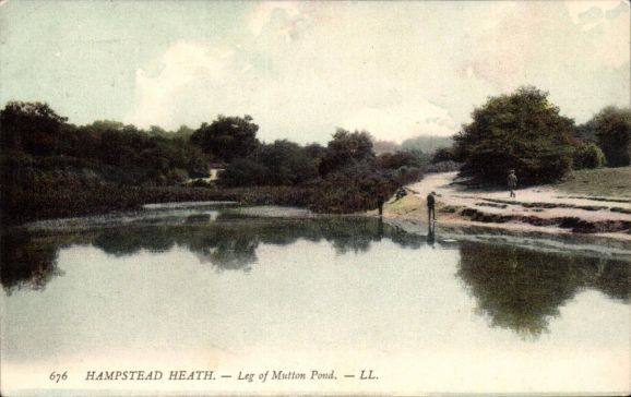 Hampstead-Heath-Leg-of-Mutton-Pond-676