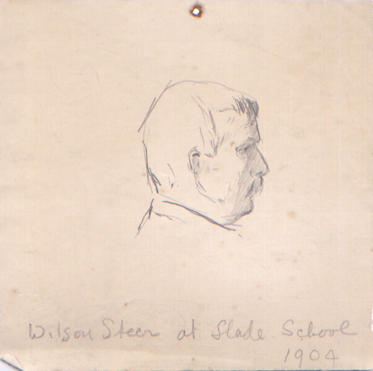 Steer