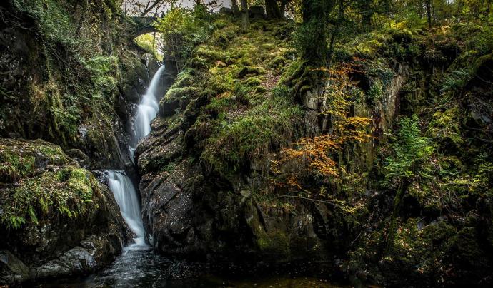 aira force