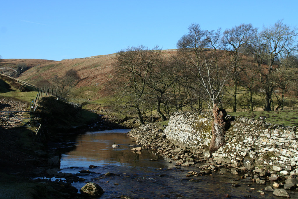 Marske, Helwith, and Washfold _ The ford at Helwith Manor